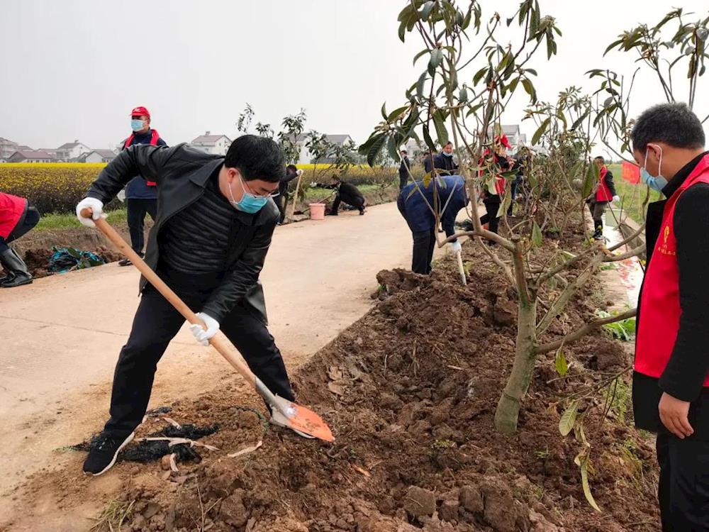 春来了|3月12日植树节 西湖干群添绿忙