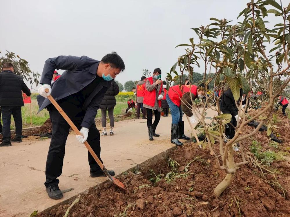 春来了|3月12日植树节 西湖干群添绿忙