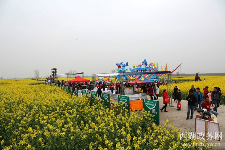 襄城县油菜花节2021图片