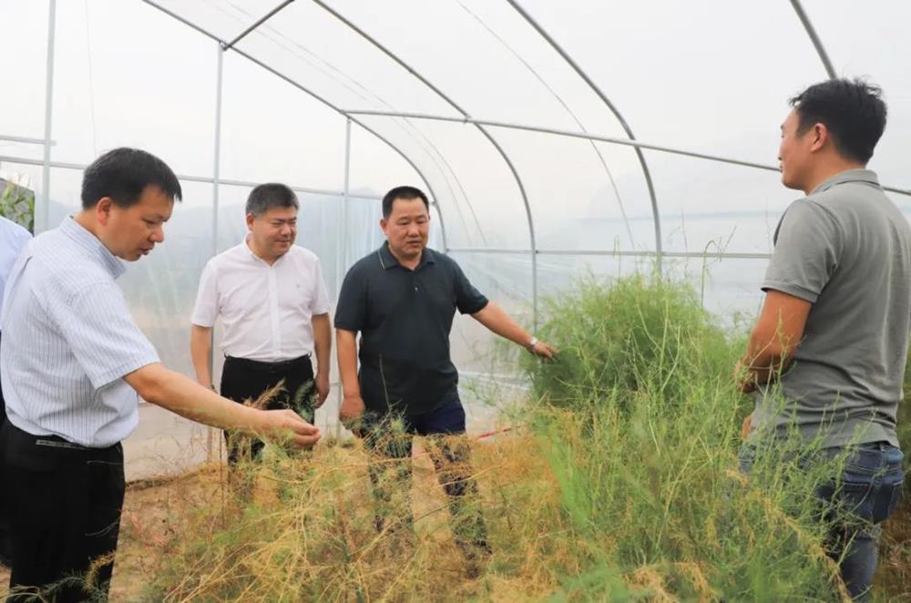 石玉林到西湖考察调研_今日西湖_综合动态_常德市西湖管理区