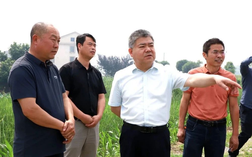 微信图片_20250528153035