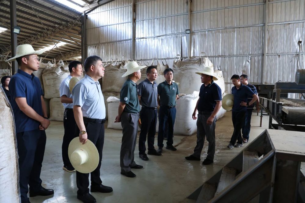 微信图片_20250618092250