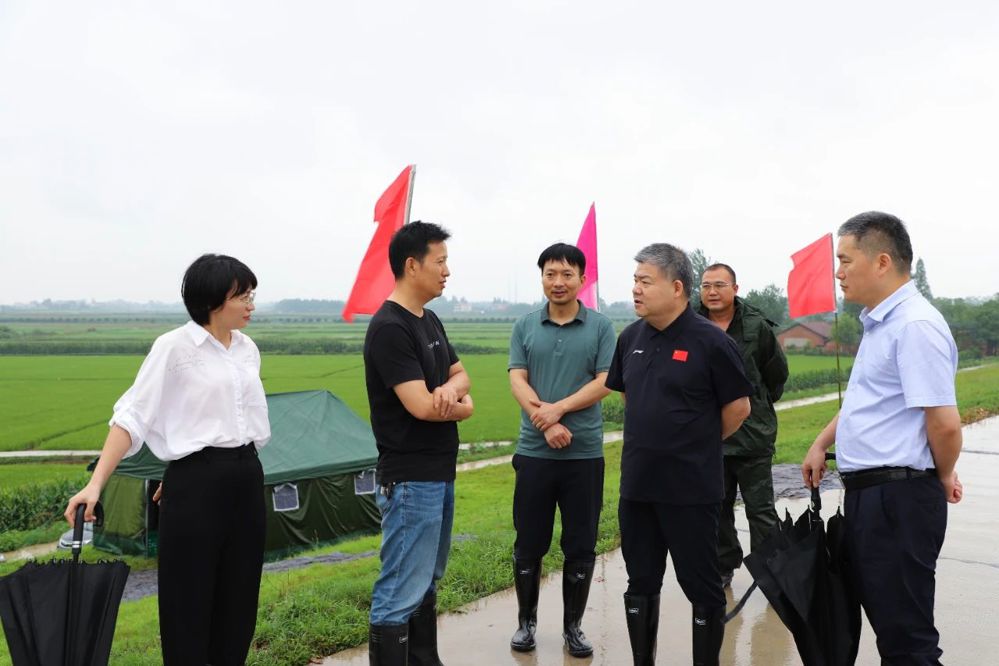 微信图片_20250626094154