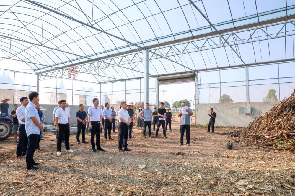 微信图片_2025-10-11_145201_306