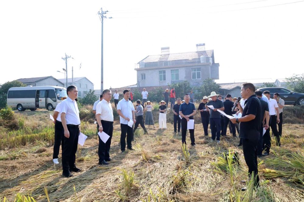 微信图片_2025-10-11_145206_049