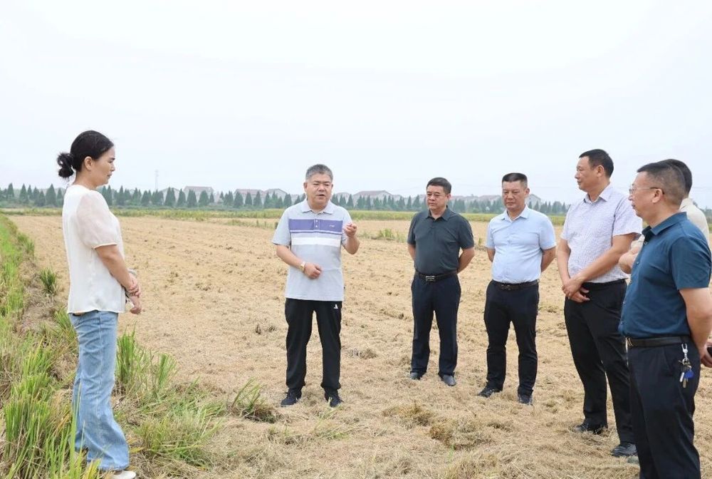 微信图片_2025-10-11_145930_201