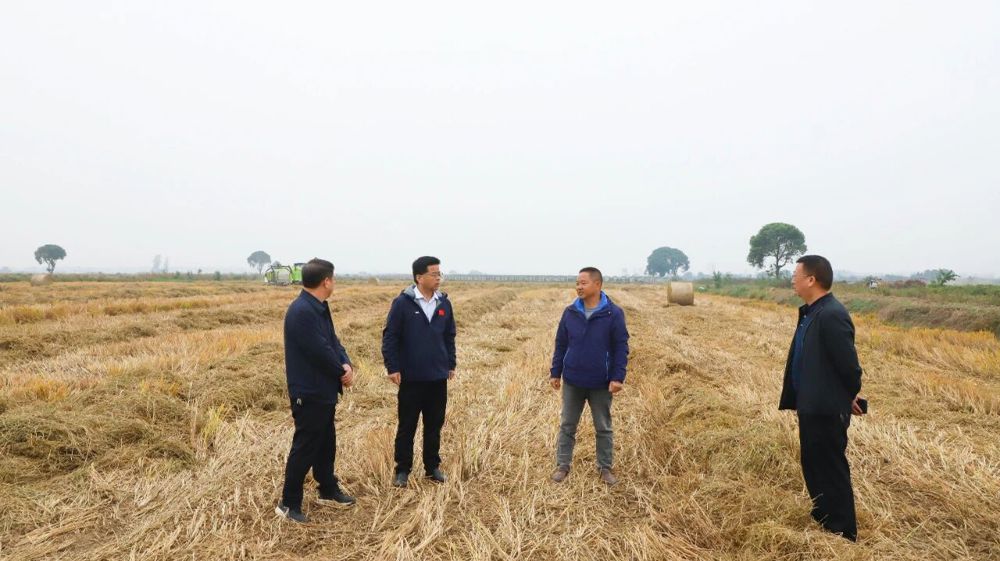 微信图片_2025-10-29_143539_148