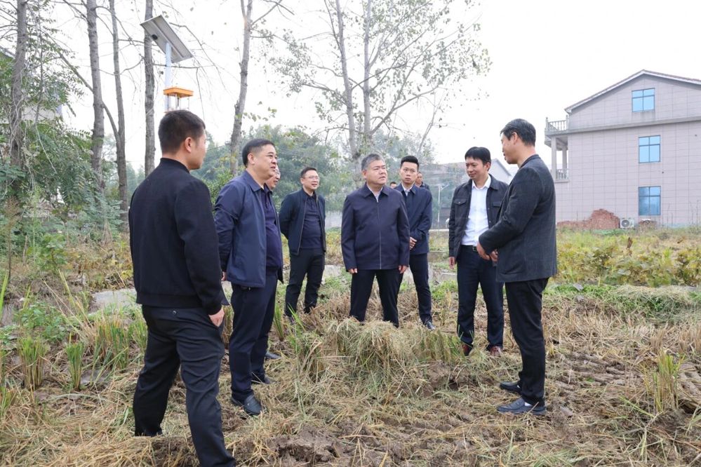 微信图片_2025-11-07_104440_872