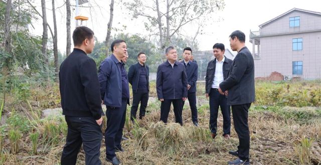 胡晓明调研秸秆综合利用与禁烧工作