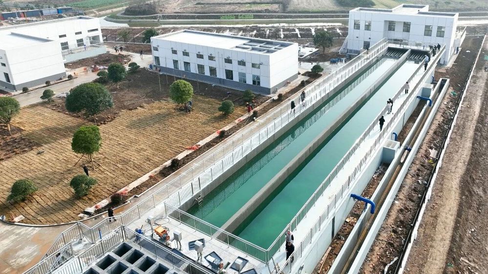 微信图片_2026-02-02_172349_871