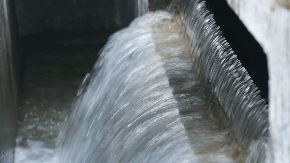 微信图片_2026-02-02_172356_329