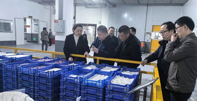 胡晓明赴新化、安化考察产业发展