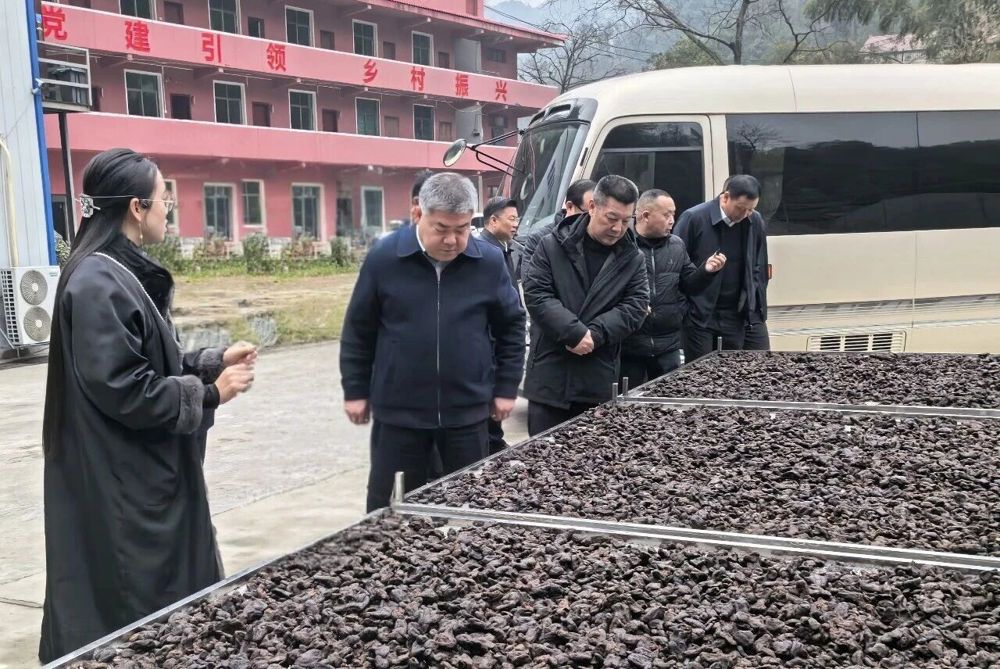 微信图片_2026-02-09_085619_280