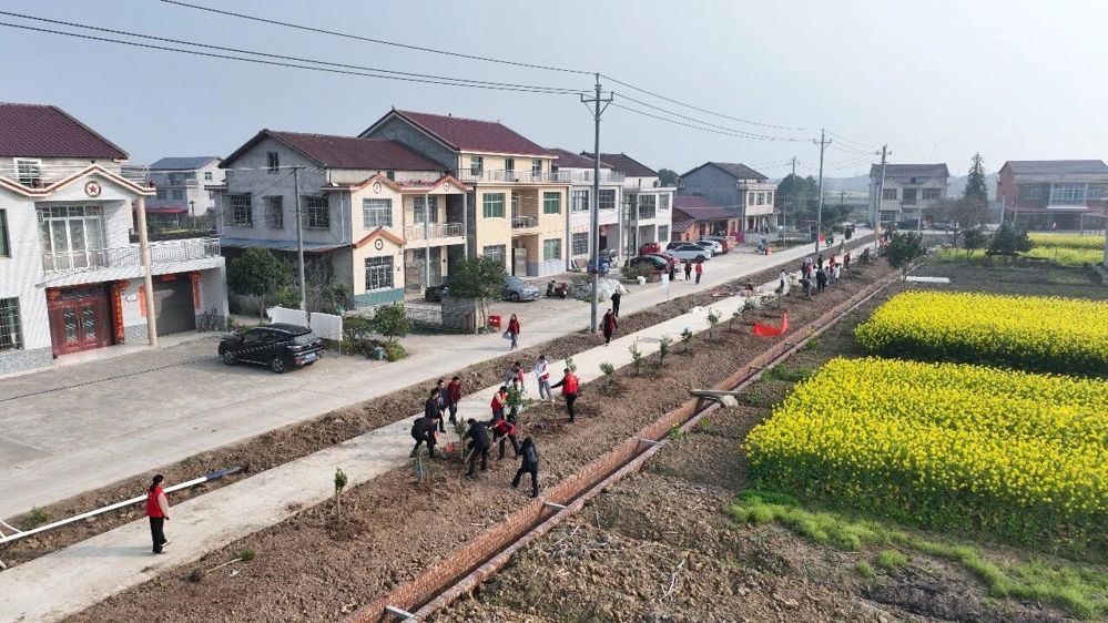 微信图片_2026-03-17_091349_563