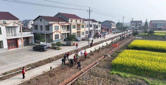 植树添绿 共建和美乡村——西湖管理区开展第48个植树节义务植树活动