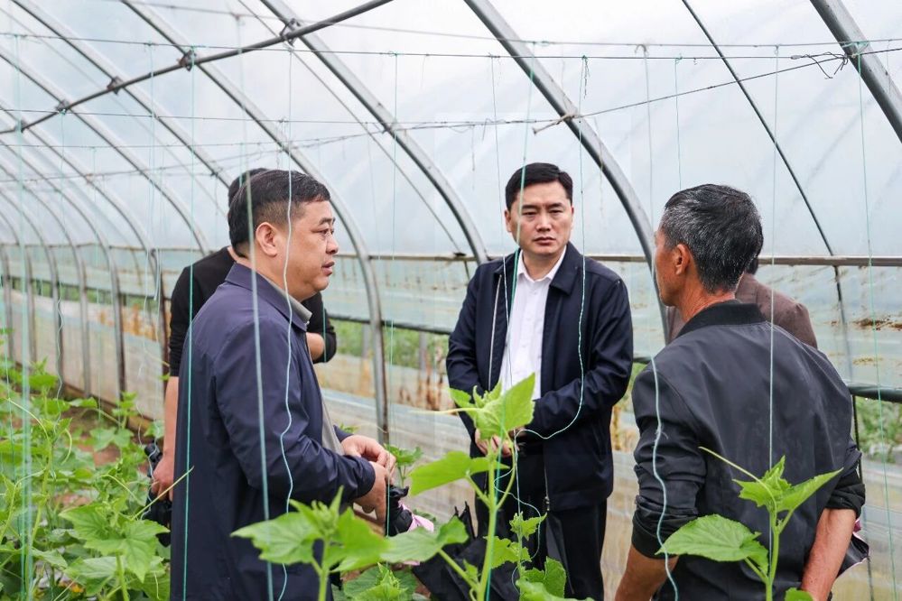 微信图片_2026-04-13_163421_399