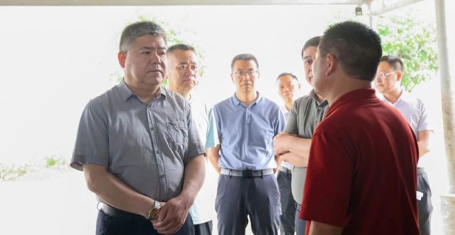 胡晓明调研督导群众身边不正之风和腐败问题集中整治工作