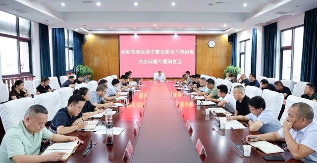 胡晓明主持召开全区集中整治“新官不理旧账”突出问题专题调度会