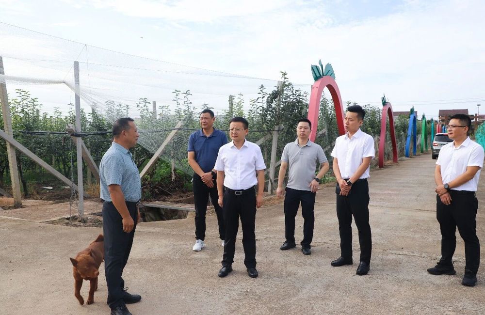 微信图片_2026-08-03_114314_289