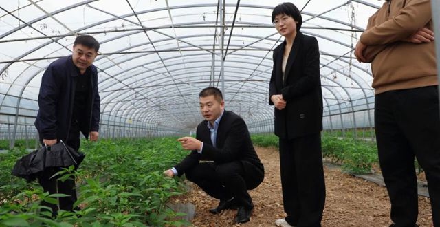 吉海波调研全区部分重点工作